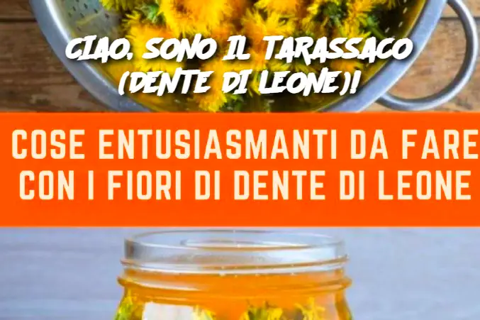CIAO, SONO IL TARASSACO (DENTE DI LEONE)!