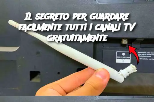Il segreto per guardare facilmente tutti i canali TV gratuitamente