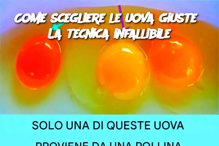 Come scegliere le uova giuste? La tecnica infallibile