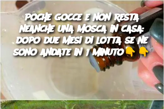Poche gocce e non resta neanche una mosca in casa: dopo due mesi di lotta se ne sono andate in 1 minuto