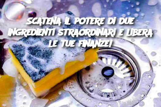 Scatena il potere di due ingredienti straordinari e libera le tue finanze!