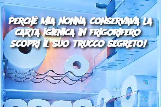 Perché mia nonna conservava la carta igienica in frigorifero? Scopri il suo trucco segreto! 