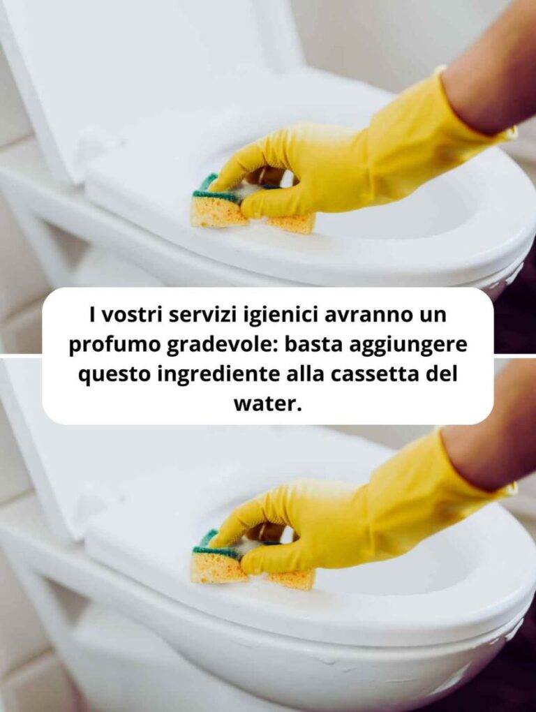 Come Profumare Naturalmente il WC: Il Segreto di un Bagno Sempre Fresco