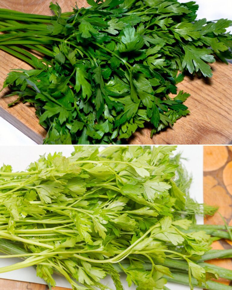 "Prezzemolo perfetto: trucchi casalinghi per pulirlo e conservarlo al meglio"