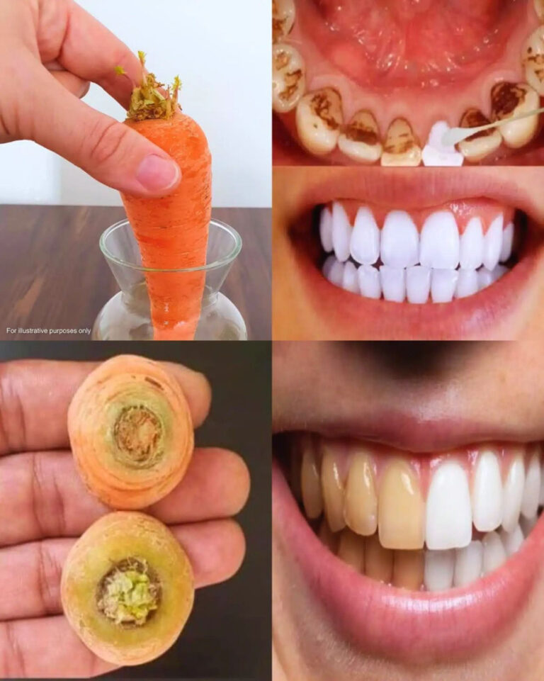 Pasta Sbiancante Fatta in Casa con Cime di Carota: Un Trattamento Naturale per la Pelle