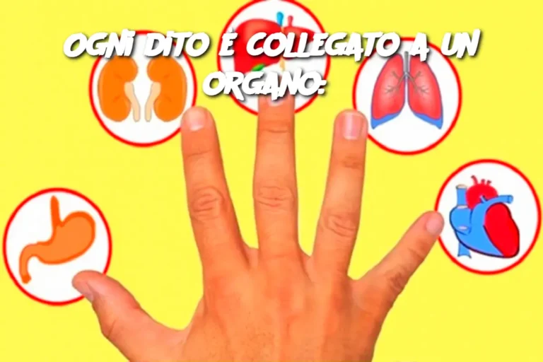 Ogni dito è collegato a un organo: scopri questo metodo giapponese