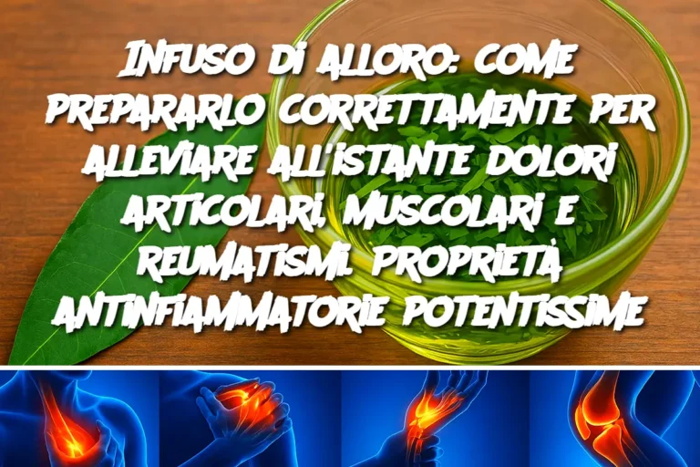 Infuso di alloro: come prepararlo correttamente per alleviare all'istante dolori articolari, muscolari e reumatismi. Proprietà antinfiammatorie potentissime