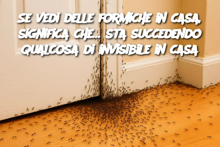 Se vedi delle formiche in casa, significa che… sta succedendo qualcosa di invisibile in casa