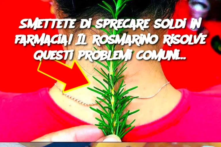 Smettete di sprecare soldi in farmacia! Il rosmarino risolve questi problemi comuni…
