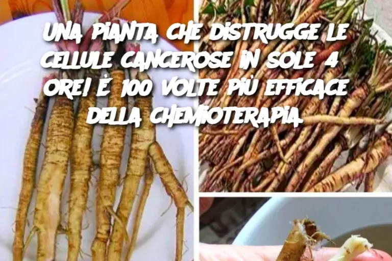Una pianta che distrugge le cellule cancerose in sole 48 ore! È 100 volte più efficace della chemioterapia.