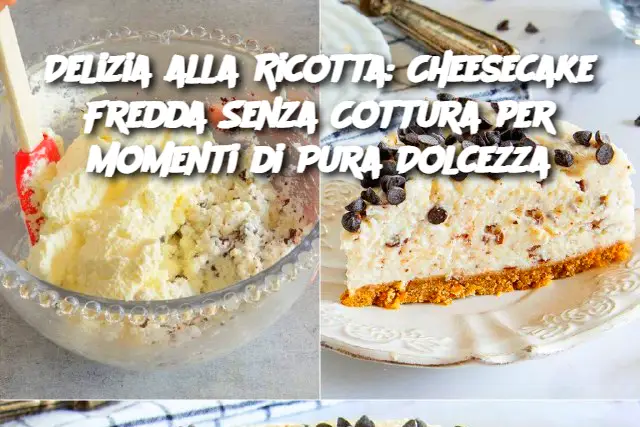 Delizia alla Ricotta: Cheesecake Fredda Senza Cottura per Momenti di Pura Dolcezza