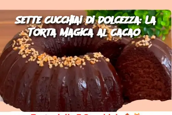 Sette Cucchiai di Dolcezza: La Torta Magica al Cacao 