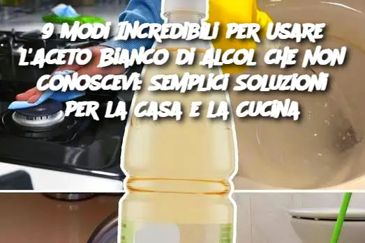 9 Modi Incredibili per Usare l'Aceto Bianco di Alcol che Non Conoscevi: Semplici Soluzioni per la Casa e la Cucina