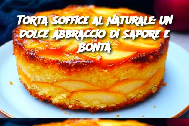 Torta Soffice al Naturale: Un Dolce Abbraccio di Sapore e Bontà