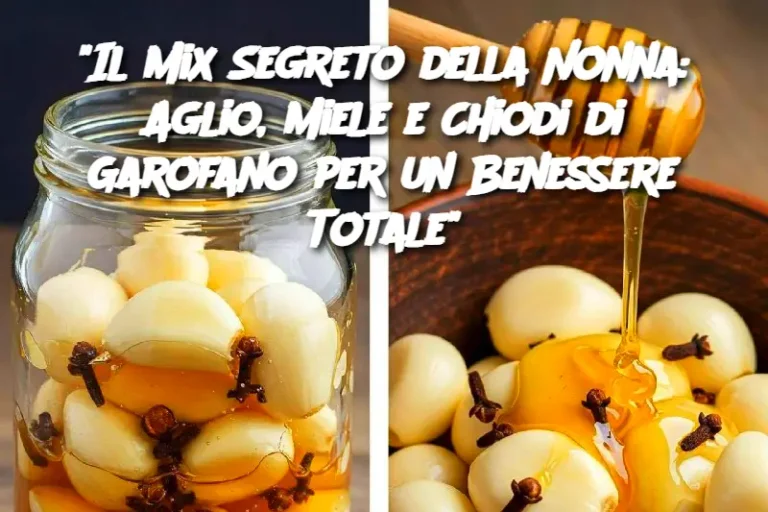 "Il Mix Segreto della Nonna: Aglio, Miele e Chiodi di Garofano per un Benessere Totale"