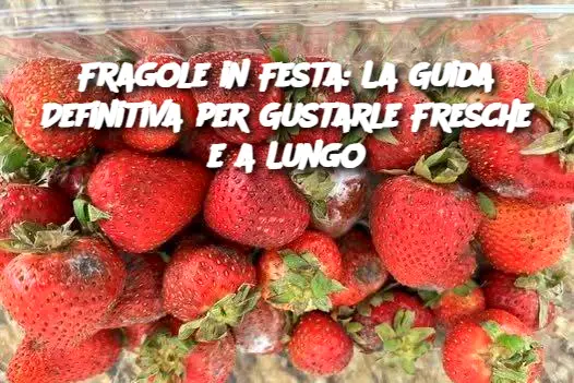 Fragole in Festa: La Guida Definitiva per Gustarle Fresche e a Lungo
