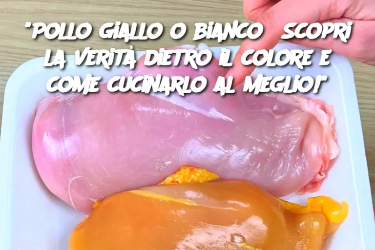 "Pollo giallo o bianco? Scopri la verità dietro il colore e come cucinarlo al meglio!"