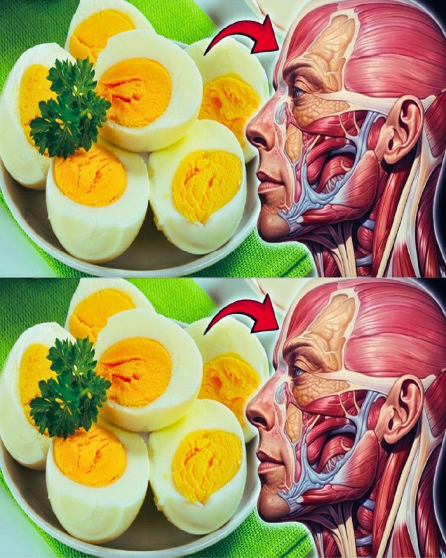 "3 Uova al Giorno: I Benefici Sorprendenti per la Tua Salute"