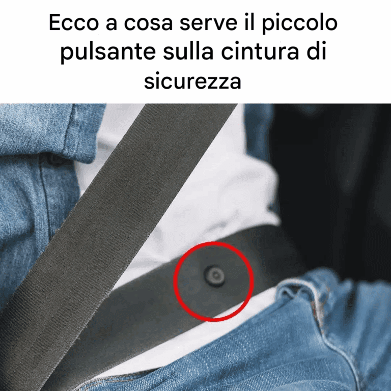 Sai a cosa serve quel piccolo pulsante sulla cintura di sicurezza?