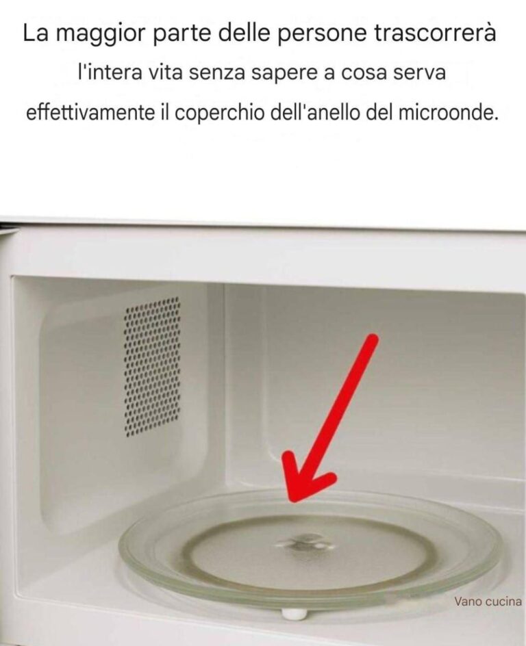 La maggior parte delle persone passerà tutta la vita a non sapere a cosa serva il coperchio dell'anello del microonde