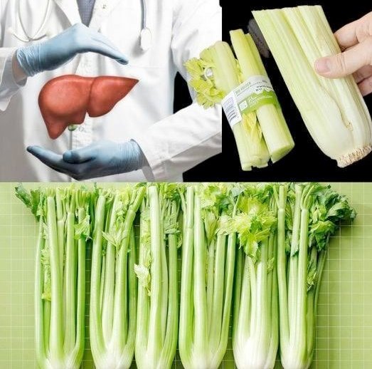 Il segreto della nonna: succo di sedano per un fegato sano!