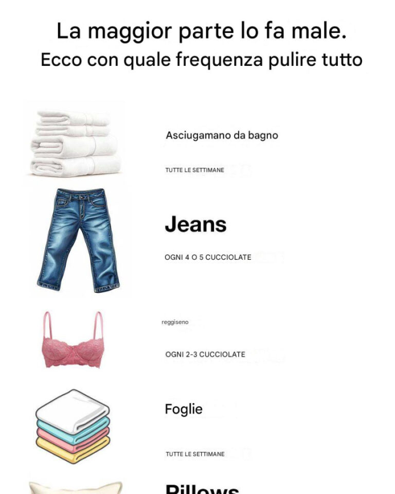 La maggior parte lo fa in modo sbagliato. Ecco con quale frequenza pulire tutto