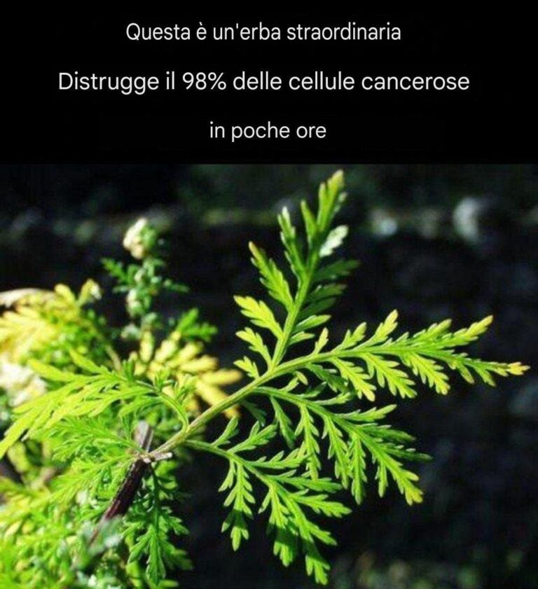 Questa straordinaria erba uccide il 98% delle cellule cancerose in sole 16 ore