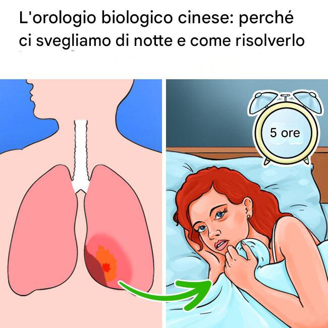 L’orologio biologico cinese spiega perché ci svegliamo di notte e come risolverlo