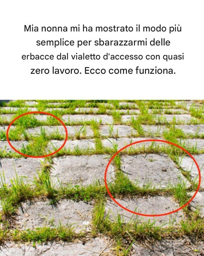 Mia nonna mi ha mostrato il modo più semplice per sbarazzarmi delle erbacce dal vialetto.
