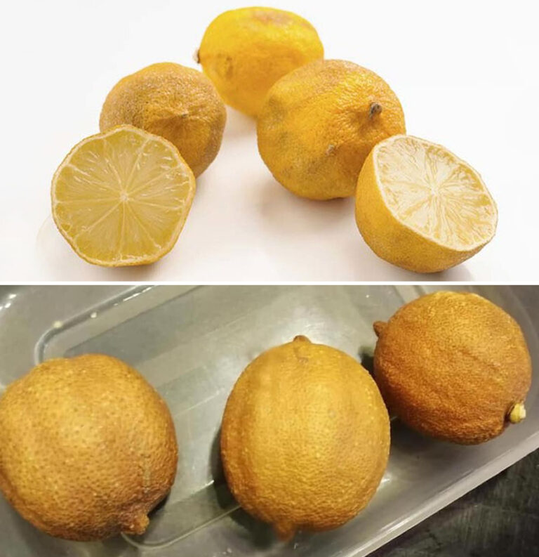 Limoni al Secondo Atto: Idee Geniali per Riutilizzare i Limoni Vecchi"