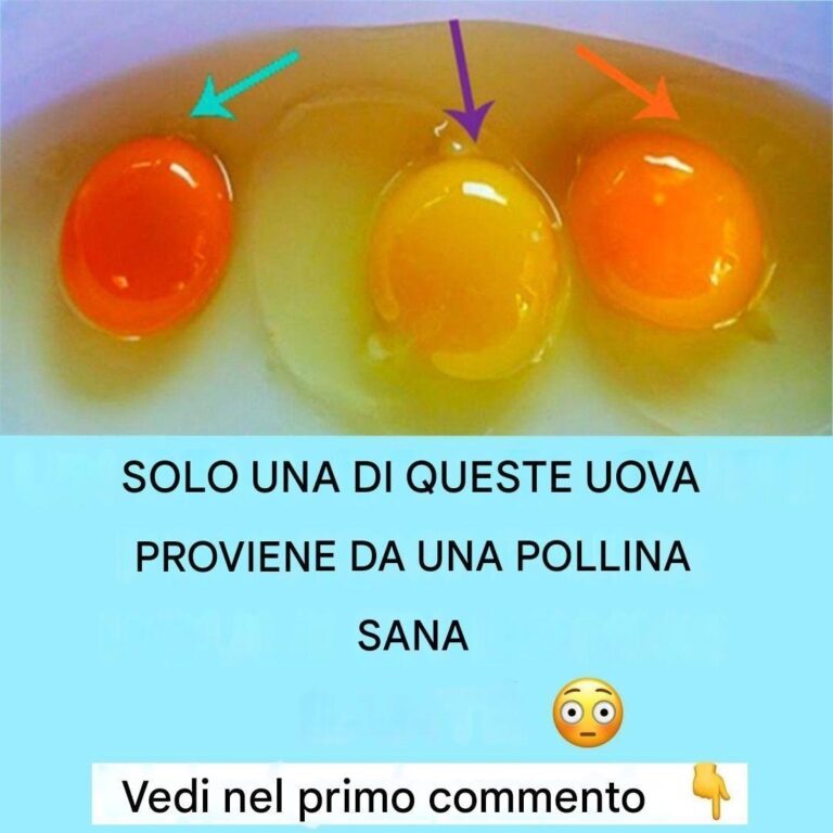 "Uova Perfette in Cucina: Il Metodo Sicuro per Scegliere Sempre le Migliori"