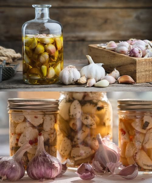 “Il Segreto di Nonna per Conservare l’Aglio Fresco Fino a un Anno – Addio Sprechi!”