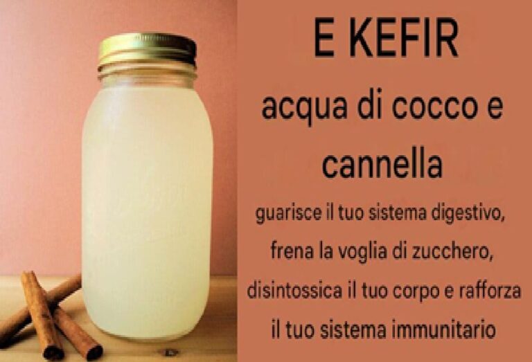 Kefir d’acqua di cocco: il super fermentato che nutre il tuo intestino e potenzia l’immunità"