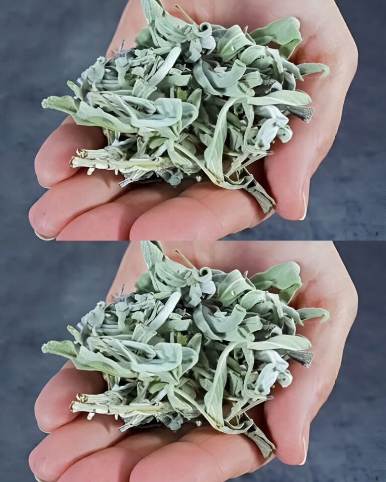 "Il lato oscuro del verde in cucina: quando le piante commestibili ingannano la salute"