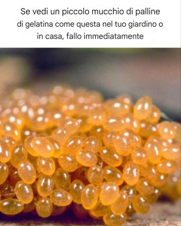 Sembrano così innocui *Per favore, abbiamo bisogno del tuo aiuto per rimanere su questo social network.