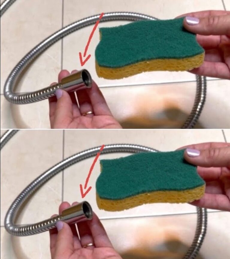 Il Trucco della Spugna nel Tubo della Doccia: Il Segreto Igienico che Cambierà la Tua Routine!