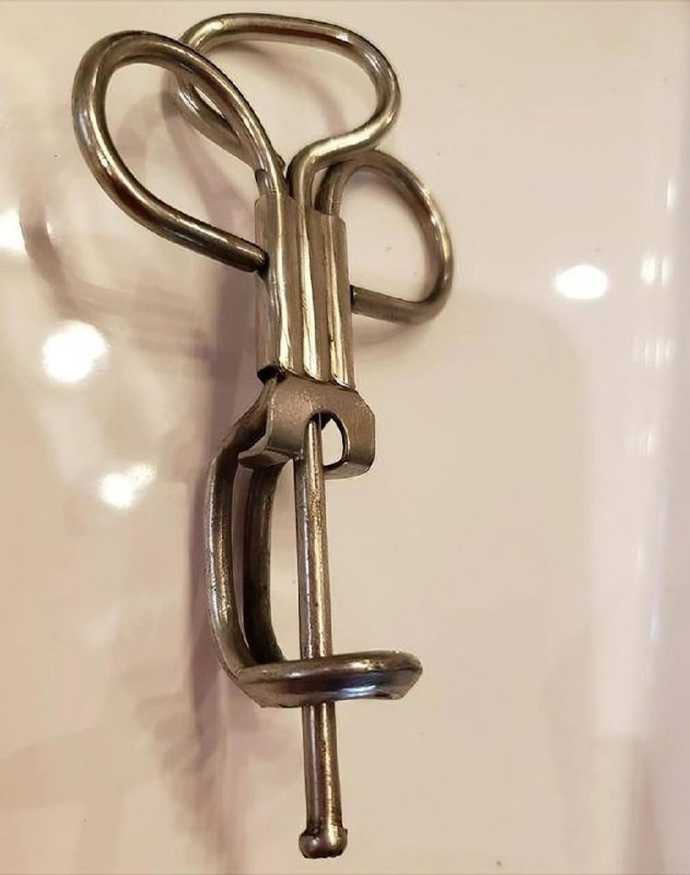 Tutto internet ha collaborato per scoprire cos'è questo elettrodomestico