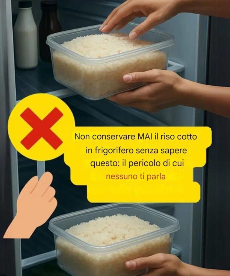 Non conservare mai il riso cotto senza conoscere questo segreto