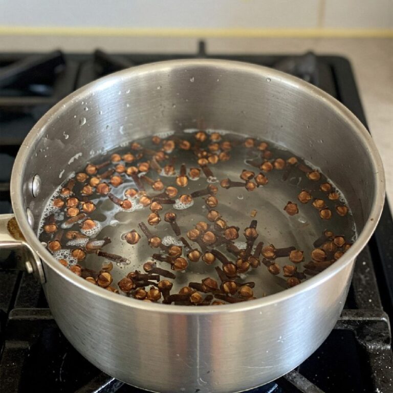 Magia Speziata: La Miscela Segreta di Zenzero e Chiodi di Garofano per il Benessere Quotidiano”