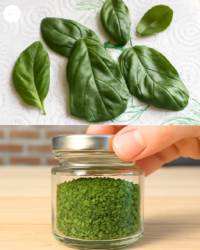 Basilico Sempre Fresco: Il Segreto del Barattolino Aromatico"