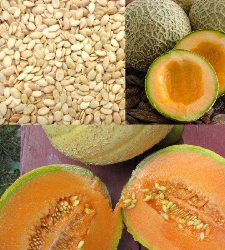 Semi del Benessere: Il Segreto Nascosto nella Tua Dispensa che Pochi Sanno Usare