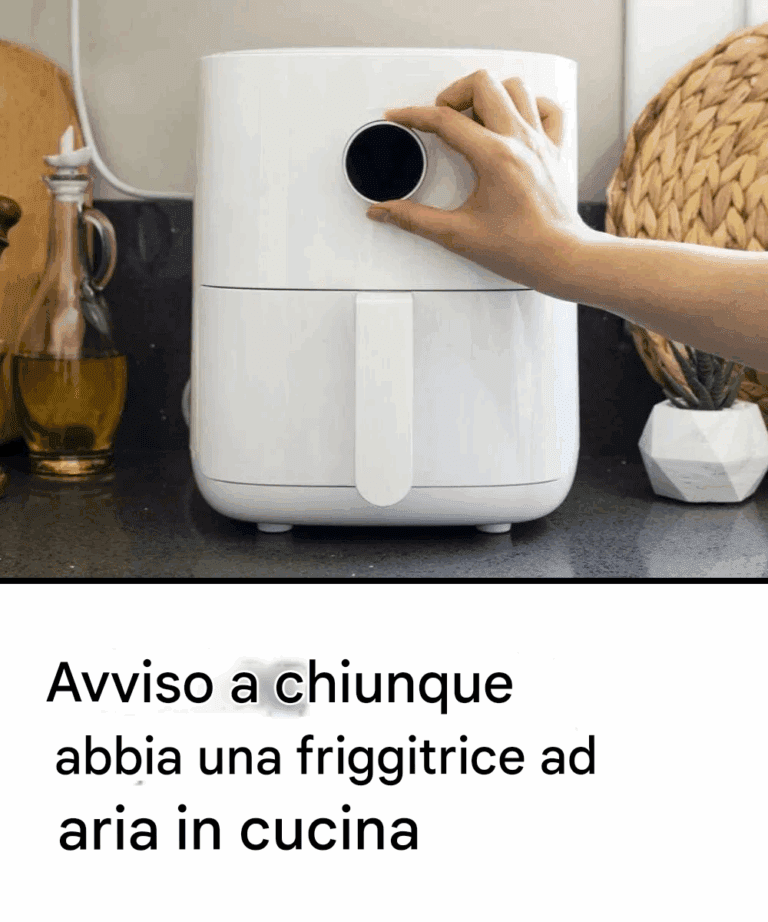 Avviso a chiunque abbia una friggitrice ad aria in cucina