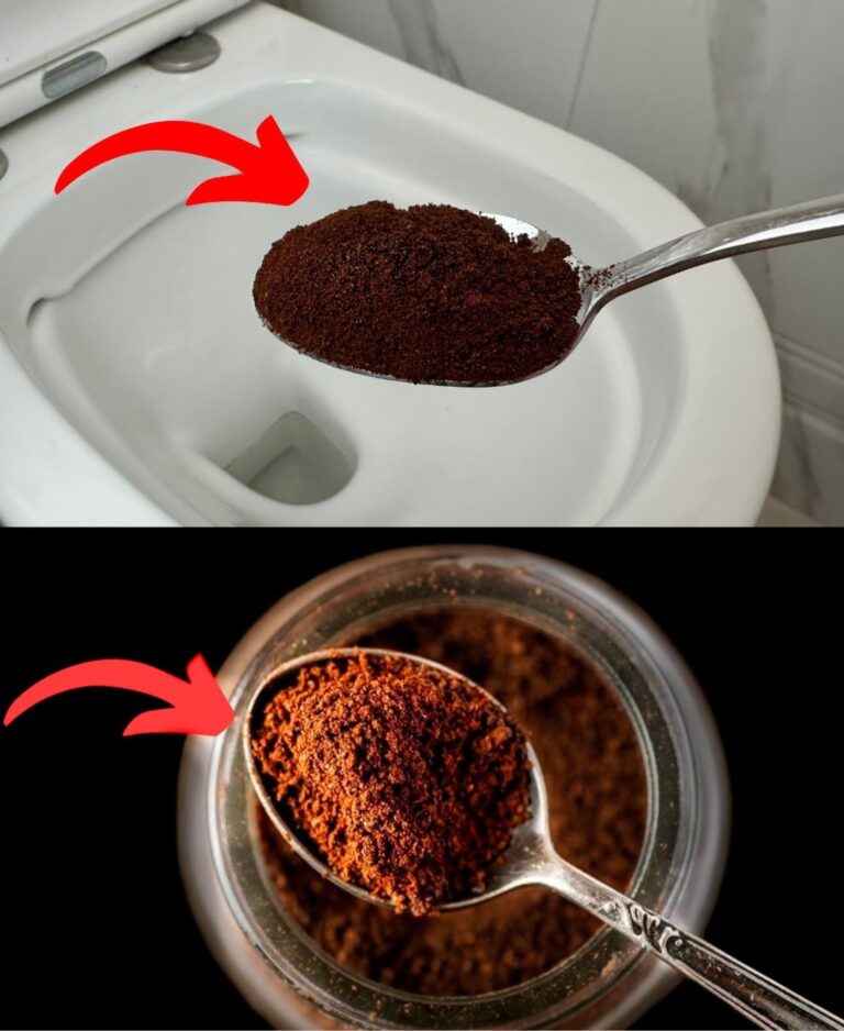 Usi sorprendenti delle marche di caffè: come usarle in modi inaspettati