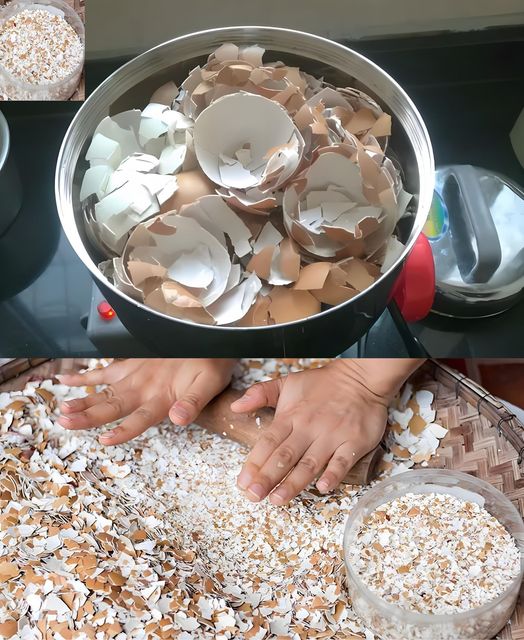 Un concentrato naturale di piante, basta spargerlo nel terreno per ridare vita al tuo giardino