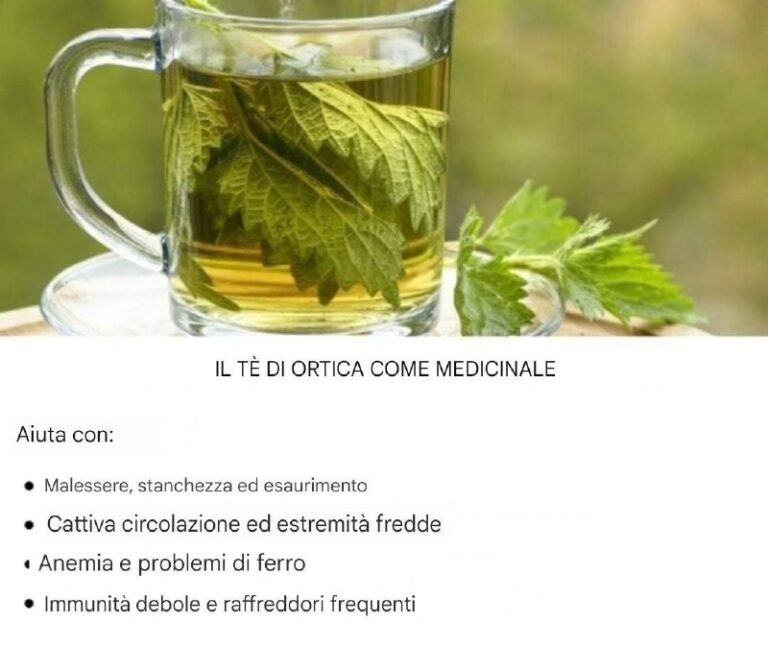 Tisana all'ortica come medicina: ecco come prepararla e per quali malattie è efficace
