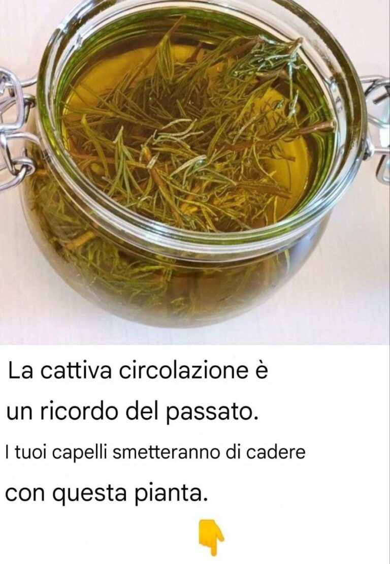 La cattiva circolazione è un ricordo del passato. I tuoi capelli smetteranno di cadere con questa pianta.