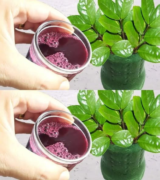 Basta una sola tazza per far esplodere i fiori nel tuo giardino: anche i tuoi vicini se ne accorgeranno!