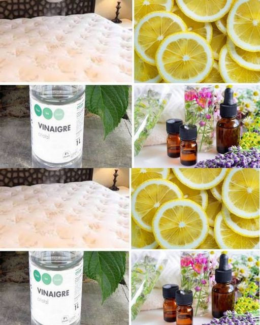 Quattro metodi efficaci per rimuovere le macchie di urina dai materassi: una guida completa