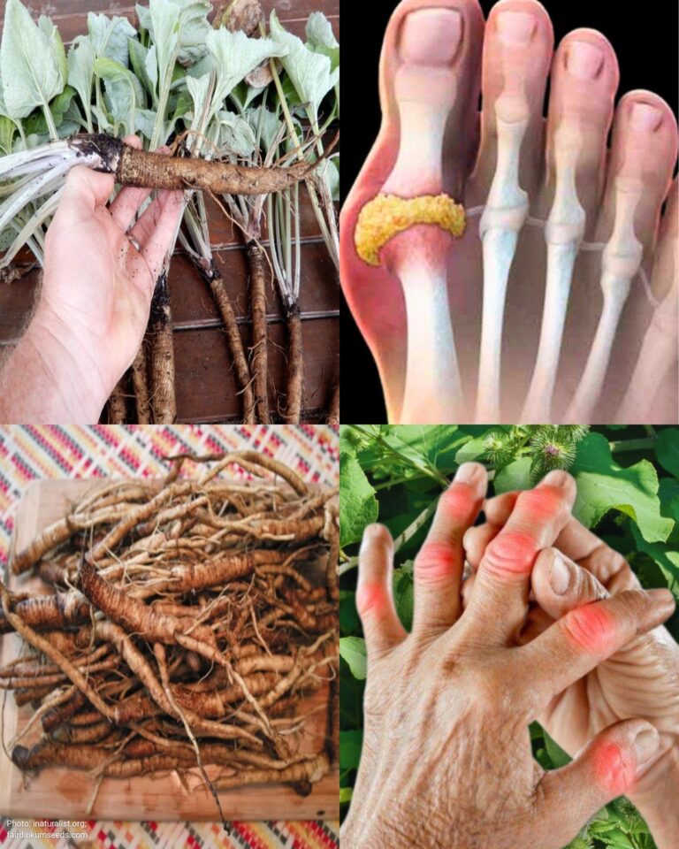 La pianta che uccide le cellule tumorali! È 100 volte più efficace della chemioterapia