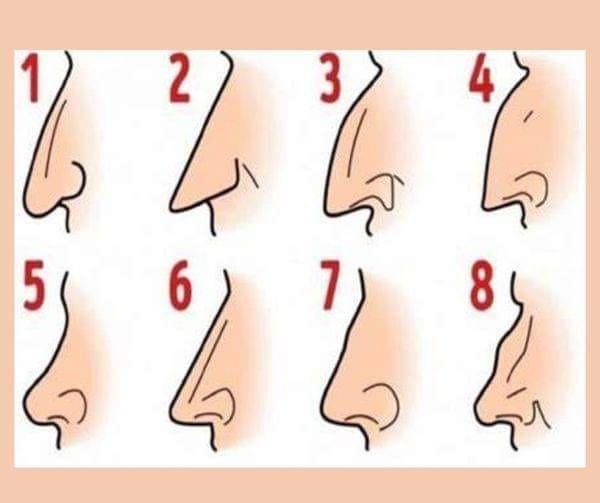 Ciò che la forma del tuo naso rivela sulla tua personalità